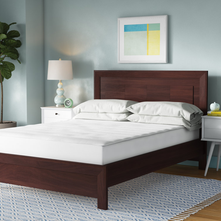 Wayfair Basics Alba Mattress Pad & Reviews Wayfair Canada